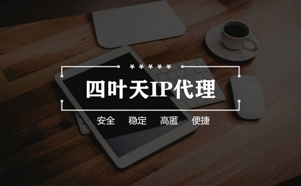 【铜陵代理IP】如何快速搭建代理IP？怎么检查代理的效果？